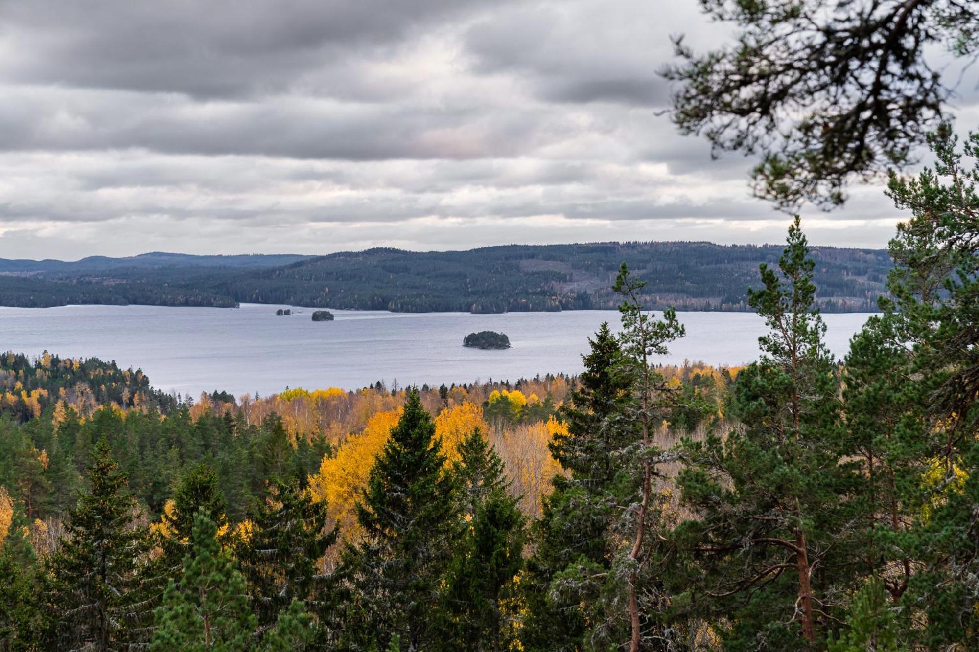 Glaskogen Apartments Glava Eksteriør billede